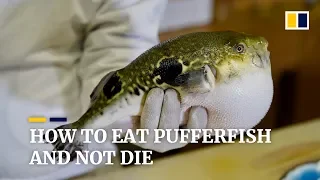 How to eat pufferfish and not die