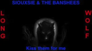 Siouxsie & the Banshees   kiss them for me  extended wold