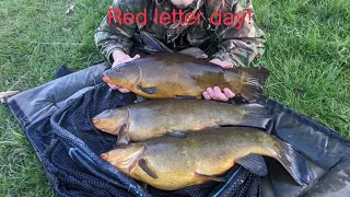 New PB Tench! A real red letter day #tenchfishing #floatfishing #fishing