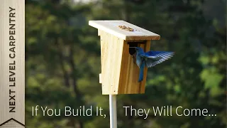 Bluebird Nestbox Build