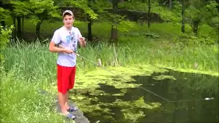Topwater Frog Fishing For Bass