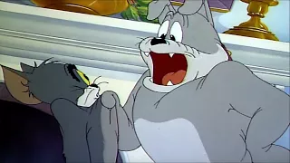 Tom And Jerry English Episodes - Quiet Please!  - Cartoons For Kids