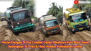 Heran Lihat Si Tua Cokelat Ganjo Mbahnya Fuso Bisa Lewat, Si Oren & Hino Jember Kewalahan Lewat