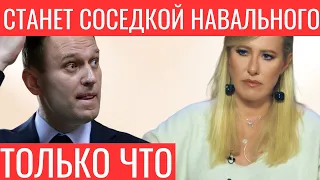 Адвокат поставил жирную точку в скандале с вымогательством у "Ростеха" и Собчак