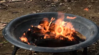 HOW TO CREATE YOUR OWN FOREST SCHOOL