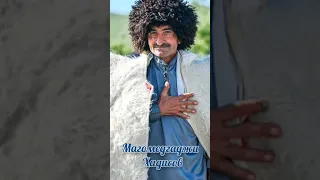 Аварская песня - Магомедгаджи Хадисов