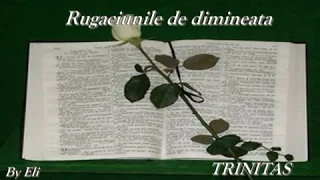 † Rugăciunile de dimineață - Învățați aceste rugăciuni! Măcar o oră pe zi să-i dedicam lui Dumnezeu!