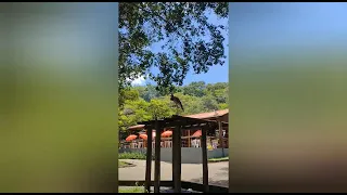 LAGOA SILVANA, EM IPATINGA.