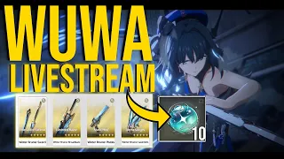 20 MORE FREE PULLS!? Wuthering WAVES JP Livestream NEWS