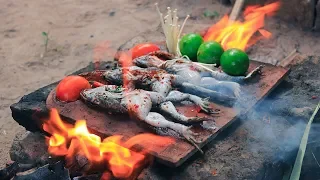 Primitive Technology: Cooking Frog on the Tile For Food Eating Delicious