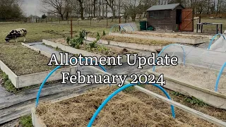 Allotment Update February 2024, Allotment Diary, Allotment Gardening