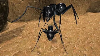 Ant Simulation 3D Full - Black Garden Ant (Lasius Niger) - Gameplay Part 6