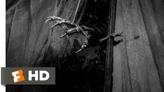 Creature from the Black Lagoon (3/10) Movie CLIP - The Creature Attacks (1954) HD