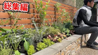 玄関前に石張りのおしゃれな花壇を造ったら街行く人がみんな見ていくお庭になりました【総集編・一気見】