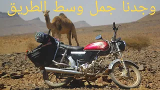 **"رحلة الدراجة النارية الصحراوية: لقاء مفاجئ مع جمل وطهي طجين شهي"**