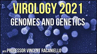 Virology Lectures 2021 #3 - Genomes and Genetics