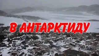 В Антарктиду