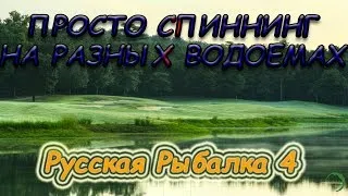 разные водоемы - разные трофеи :) - спиннинг на разных водоемах - Русская рыбалка 4