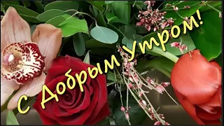 С Добрым Утром! Шикарное пожелание Доброго Утра.Пусть это утро станет началом успешного дня