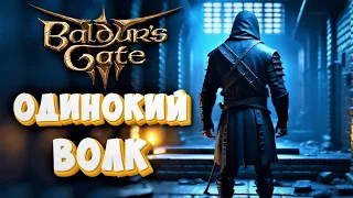 Baldur's Gate 3. Одинокий волк. Бард 6/Плут 4/Воин 2. Билд для соло прохождения.