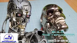 Build the Terminator - Model Modz Teeth Replacement