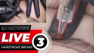 Hairstroke Brows intense online LIVE course