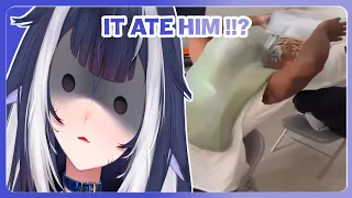 IT ATE HIM !!? | Shylily React To UNUSUAL MEMES COMPILATION V255