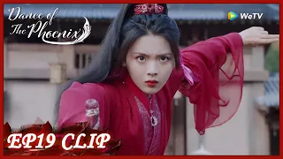 【Dance of the Phoenix】EP19 Clip | Final Battle! But she was knew the truth from it? | 且听凤鸣 | ENG SUB