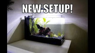 Setup a Low Tech Aquatop 5 Gallon Planted Fish Tank for a Betta!