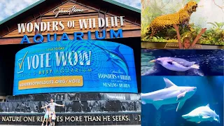 Wonders of Wildlife Museum & Aquarium Tour | Bass Pro Shop in Springfield, Missouri