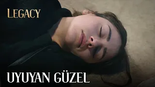 Canan knocked out Seher! | Legacy Episode 318