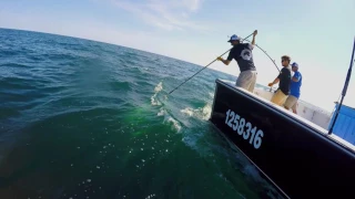 Wicked Tuna - Season premiere March 15