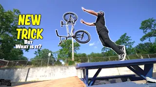 Attempting This Crazy New Trick We Saw On Instagram!