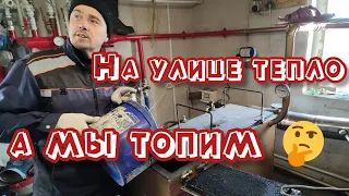 Один день из жизни в деревне / Жизнь в СИБИРИ /