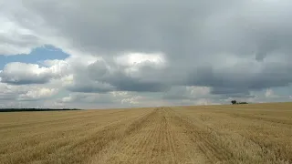 Раскопки в полях у с. Долина. Павшие за Славянск.