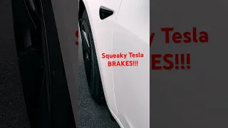 EASY FIX short - Squeaky Tesla brakes!