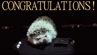 HEDGEHOG GRADUATION E-CARD