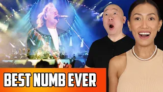 Pink Floyd - Comfortably Numb Live Reaction | Enchanted Concert!