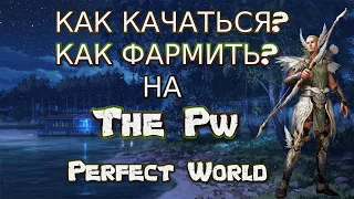 ГДЕ КАЧАТЬСЯ И ФАРМИТЬ ПРИ СТАРТЕ НА THE PW | PERFECT WORLD