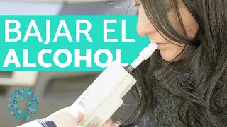 Cómo bajar el ALCOHOL en sangre - Evitar DAR POSITIVO