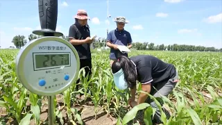 Smart technologies used in NE China's field management