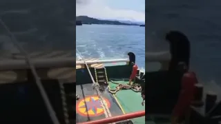 Tug Rope Effect-Two man injured #funny #comedy #humor #like #fun #world #ship #accidentnews #live