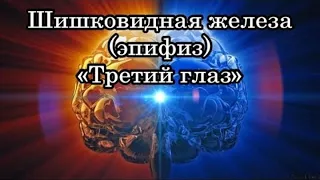 ПРОГРАММА САМОСТИ ПРОБУЖДЕНИЕ БОЖЕСТВЕННОГО РАЗУМА ШИШКОВИДНАЯ ЖЕЛЕЗА Часть 1