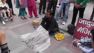 Indian Street Circus Amazing Talent Perfect and Clean Roadside Magic Show AR Entertainments