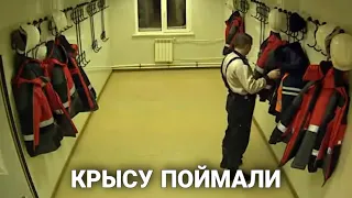 ПОЙМАЛИ КРЫСУ НА РАБОТЕ , КОТОРАЯ ВОРОВАЛА У СВОИХ...