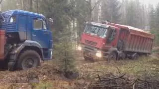 Битва грузовых автомобилей КАМАЗ & iveco