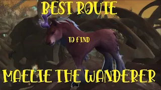 Best Route to Find ALL the Maelie the Wanderer Locations!