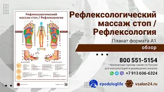 Рефлексологический массаж стоп / Рефлексология (плакат)