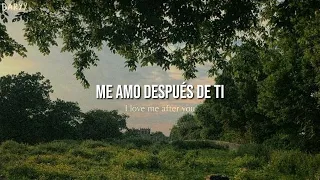 Mitski - I Love Me After You (Lyrics/Sub español)