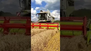 Claas Lexion 5400 mit Vario 770